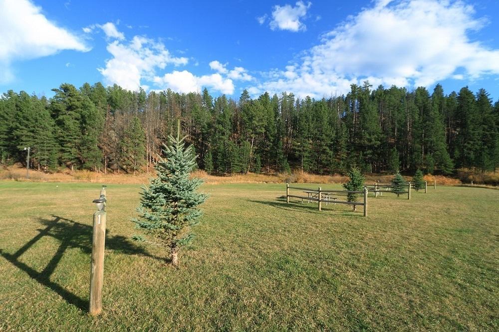 Black Elk Resort Hill City Room photo